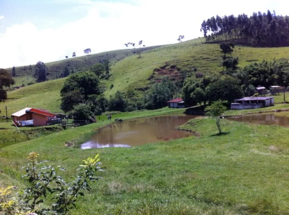 Fazenda, 116 hectares - Foto 3