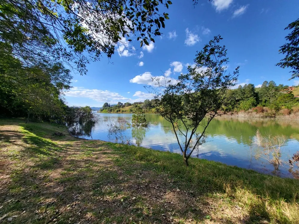 Terreno, 4 hectares - Foto 14