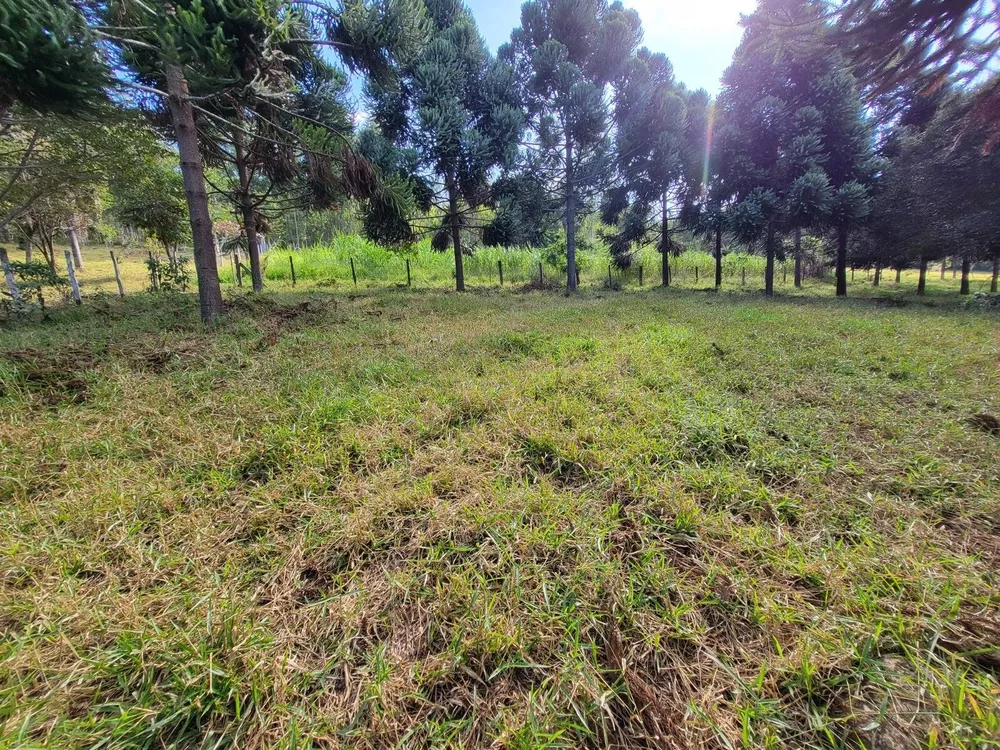 Terreno, 4 hectares - Foto 11