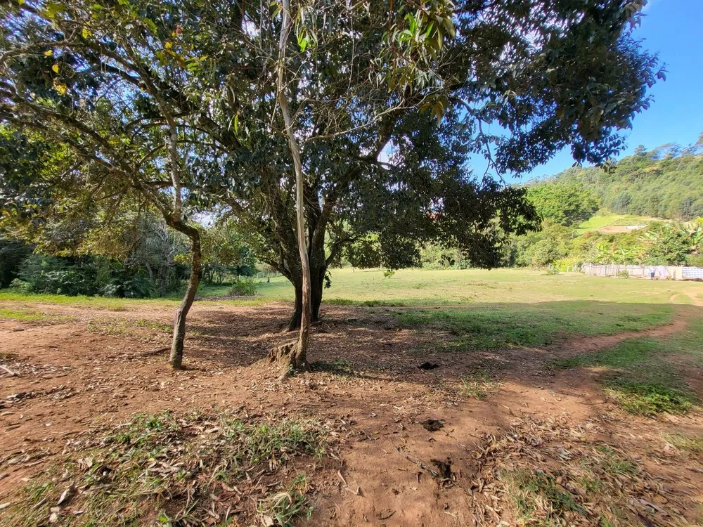 Terreno, 4 hectares - Foto 8