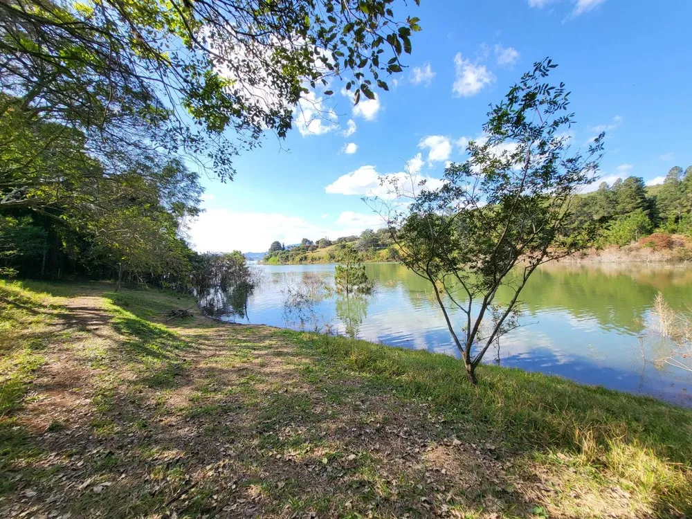 Terreno, 4 hectares - Foto 1