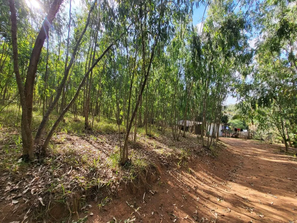 Terreno, 4 hectares - Foto 15