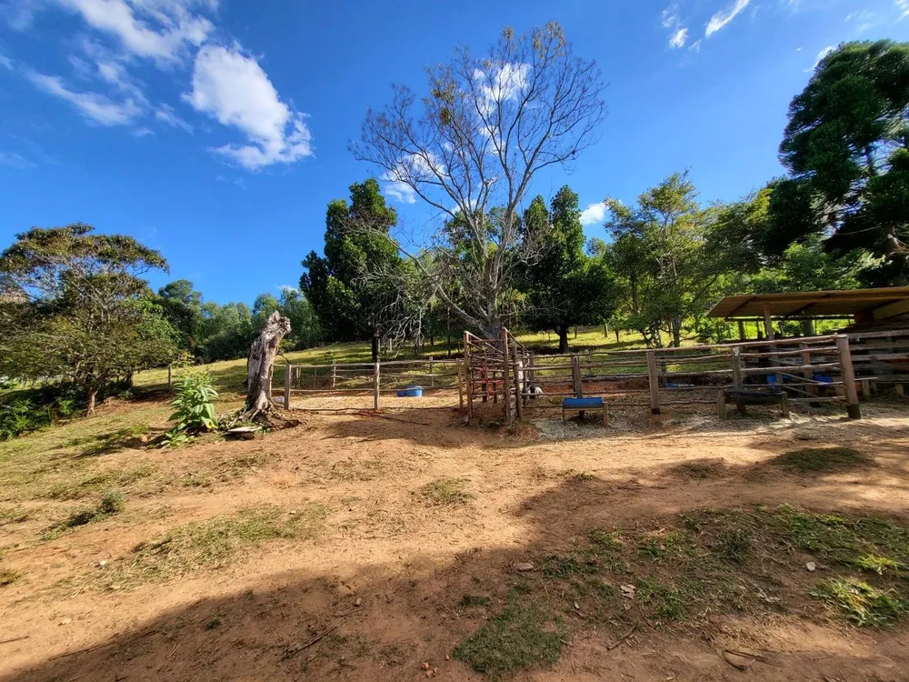 Terreno, 4 hectares - Foto 12