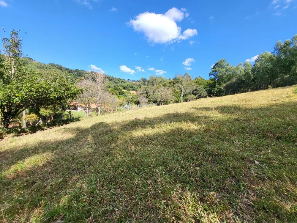 Terreno, 4 hectares - Foto 10
