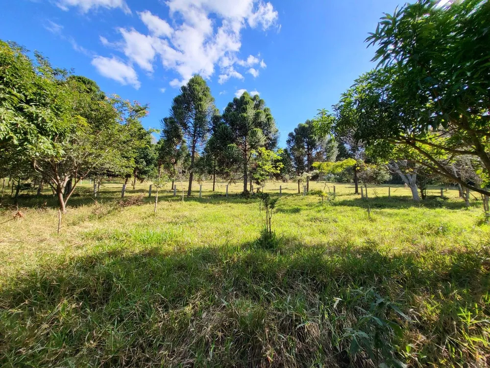 Terreno, 4 hectares - Foto 16