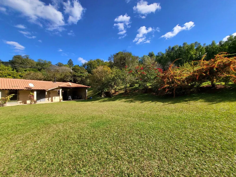 Terreno, 4 hectares - Foto 3