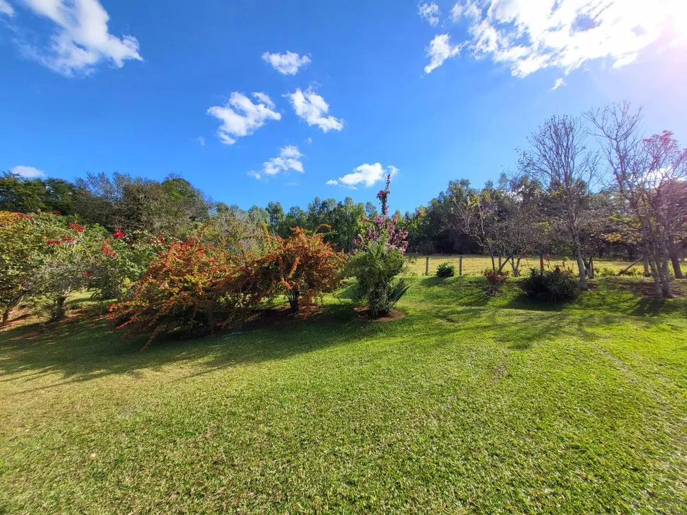 Terreno, 4 hectares - Foto 7