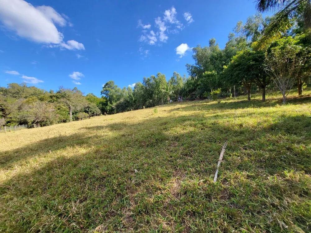 Terreno, 4 hectares - Foto 13