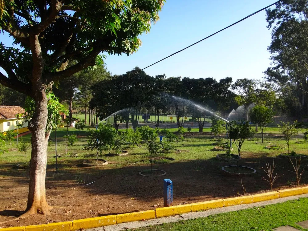 Sítio, 12 quartos, 10 hectares - Foto 13