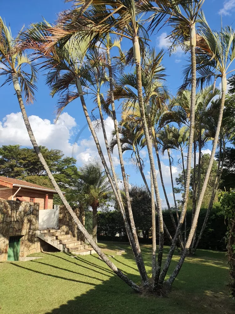 Chácara, 4 quartos - Foto 5