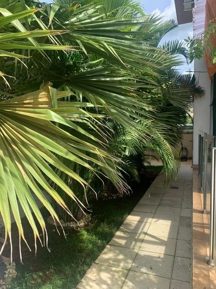 Casa de Condomínio, 5 quartos - Foto 4