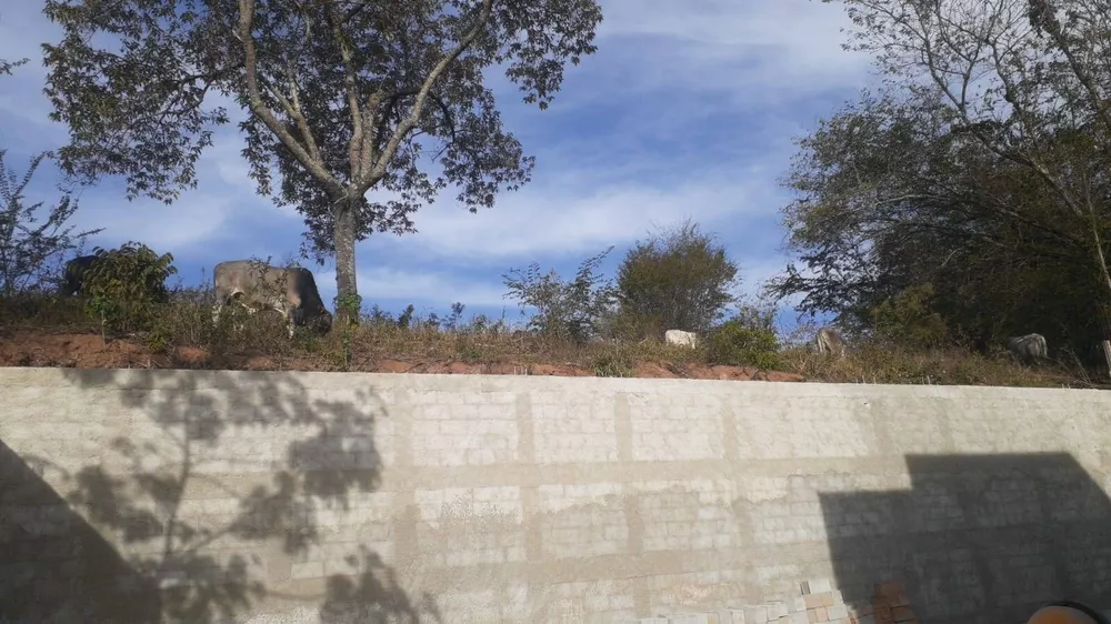 Chácara, 4 quartos, 1000 m² - Foto 4