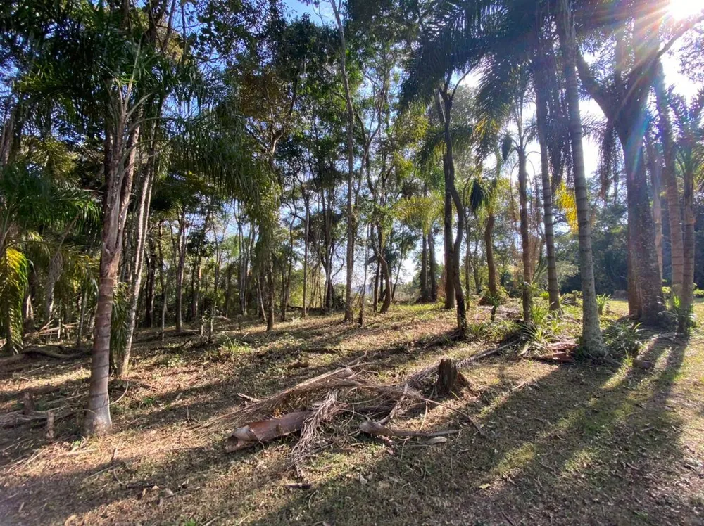 Terreno, 3000 m² - Foto 1