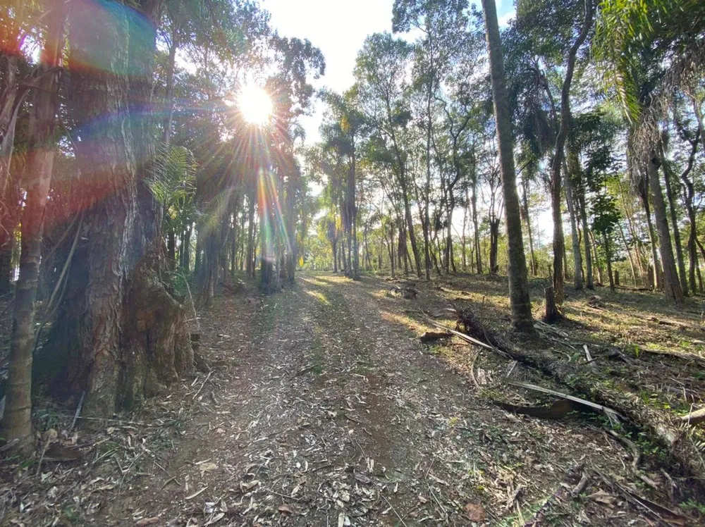 Terreno, 3000 m² - Foto 6