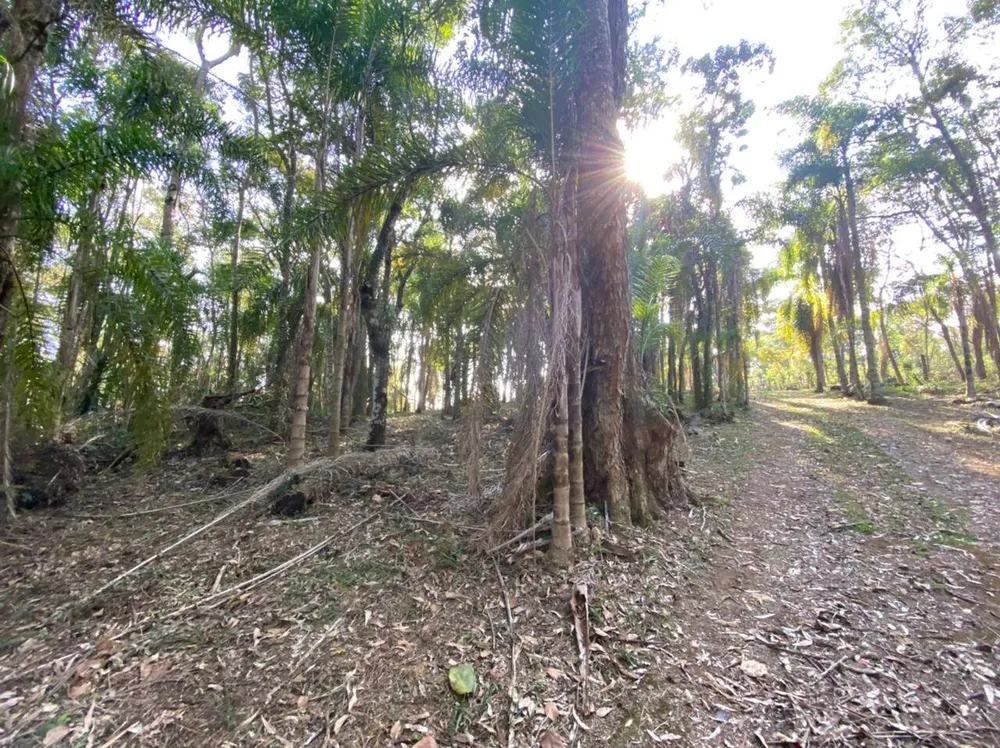 Terreno, 3000 m² - Foto 5