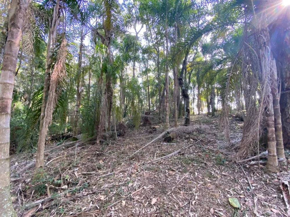 Terreno, 3000 m² - Foto 7