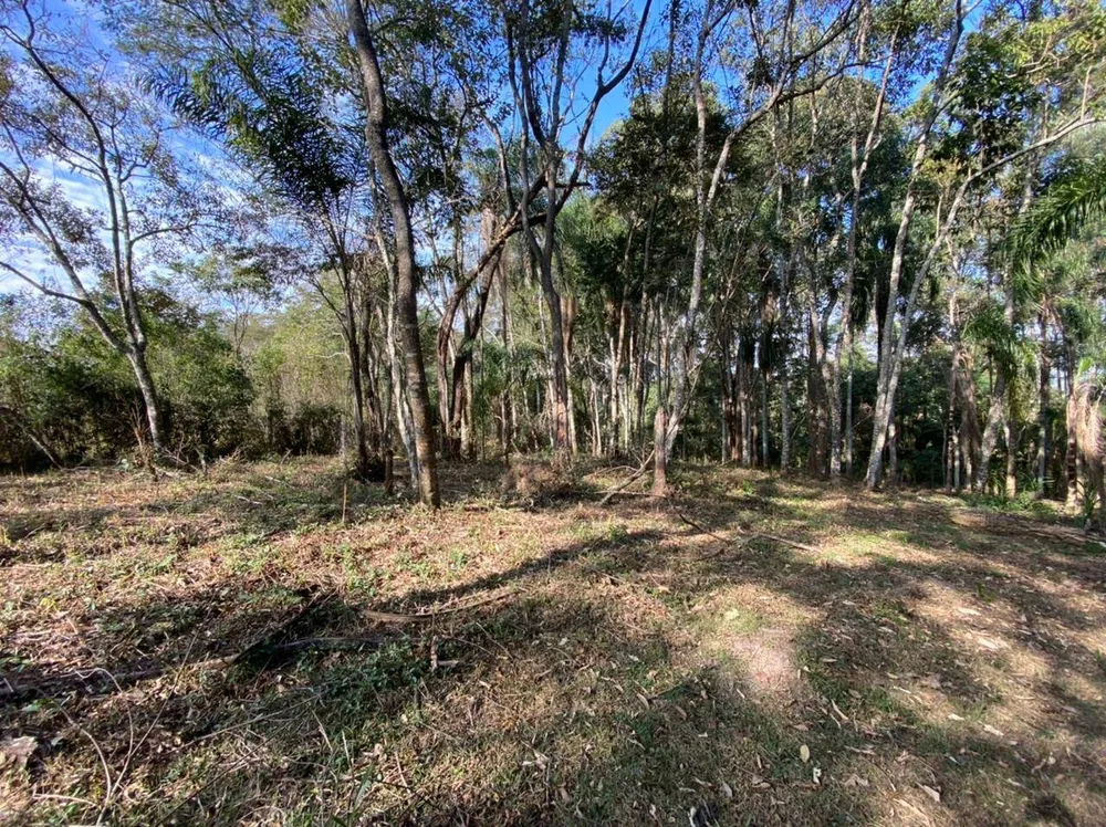 Terreno, 3000 m² - Foto 3