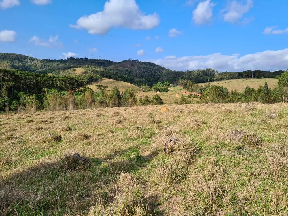 Sítio, 2 quartos, 36 hectares - Foto 4