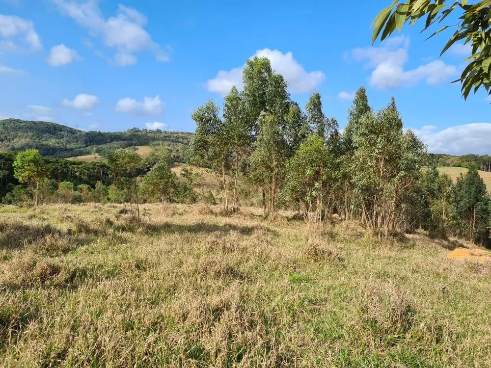 Sítio, 2 quartos, 36 hectares - Foto 12