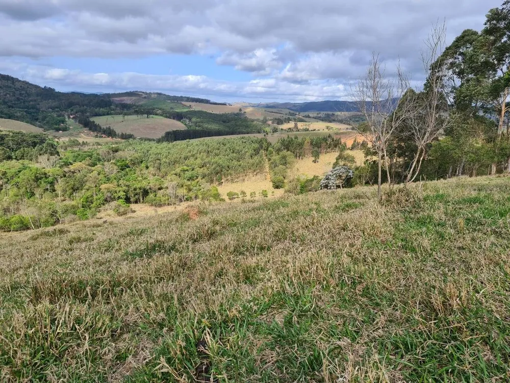Sítio, 2 quartos, 36 hectares - Foto 18