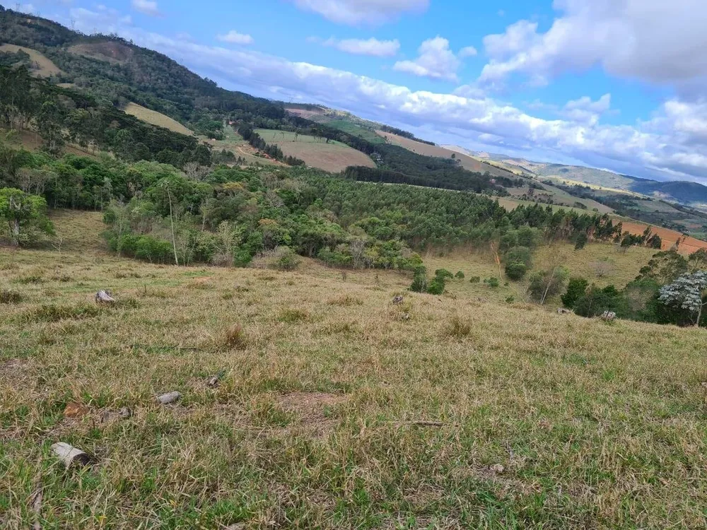 Sítio, 2 quartos, 36 hectares - Foto 14