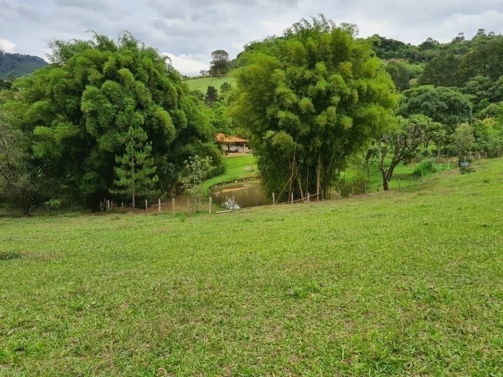 Sítio, 4 quartos, 5 hectares - Foto 4
