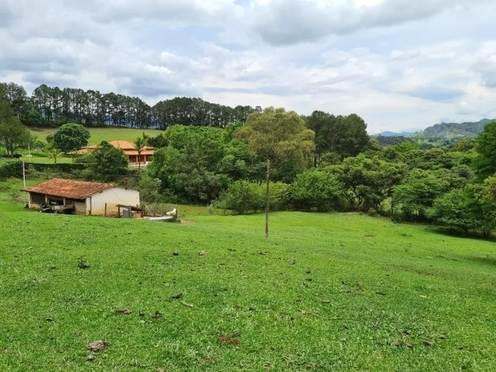 Sítio, 4 quartos, 5 hectares - Foto 10