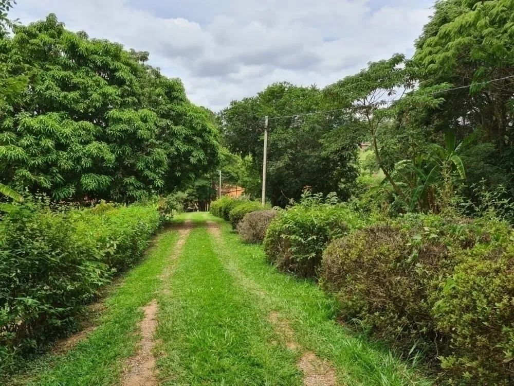 Sítio, 4 quartos, 5 hectares - Foto 15