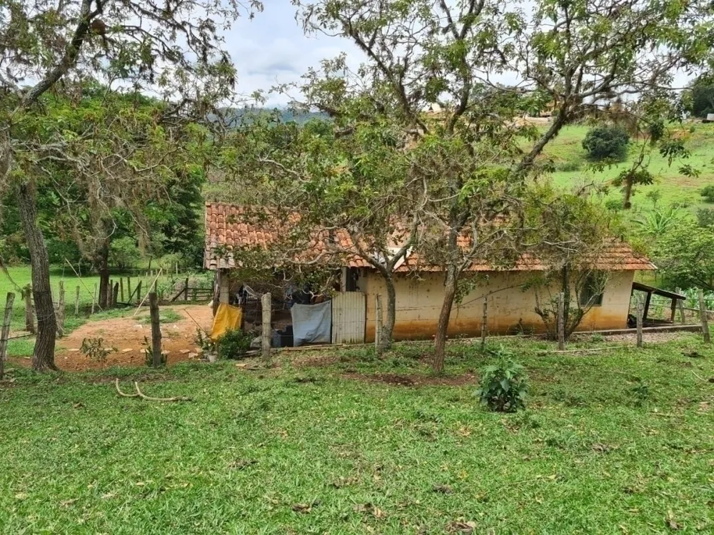 Sítio, 4 quartos, 5 hectares - Foto 11