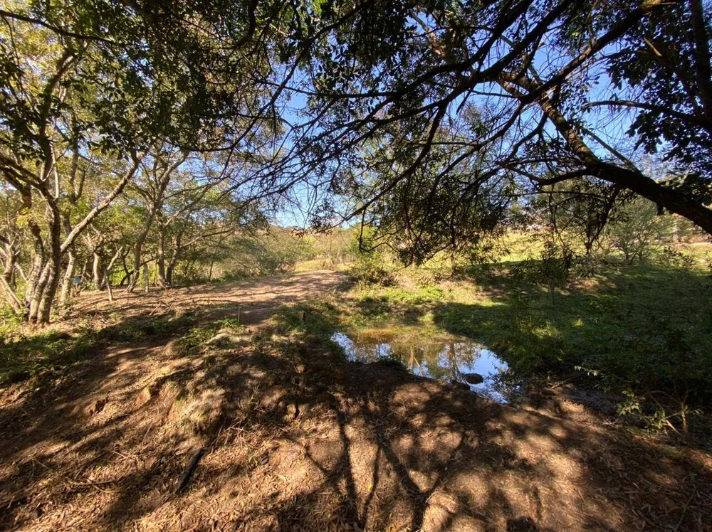 Sítio, 4 quartos, 5 hectares - Foto 18
