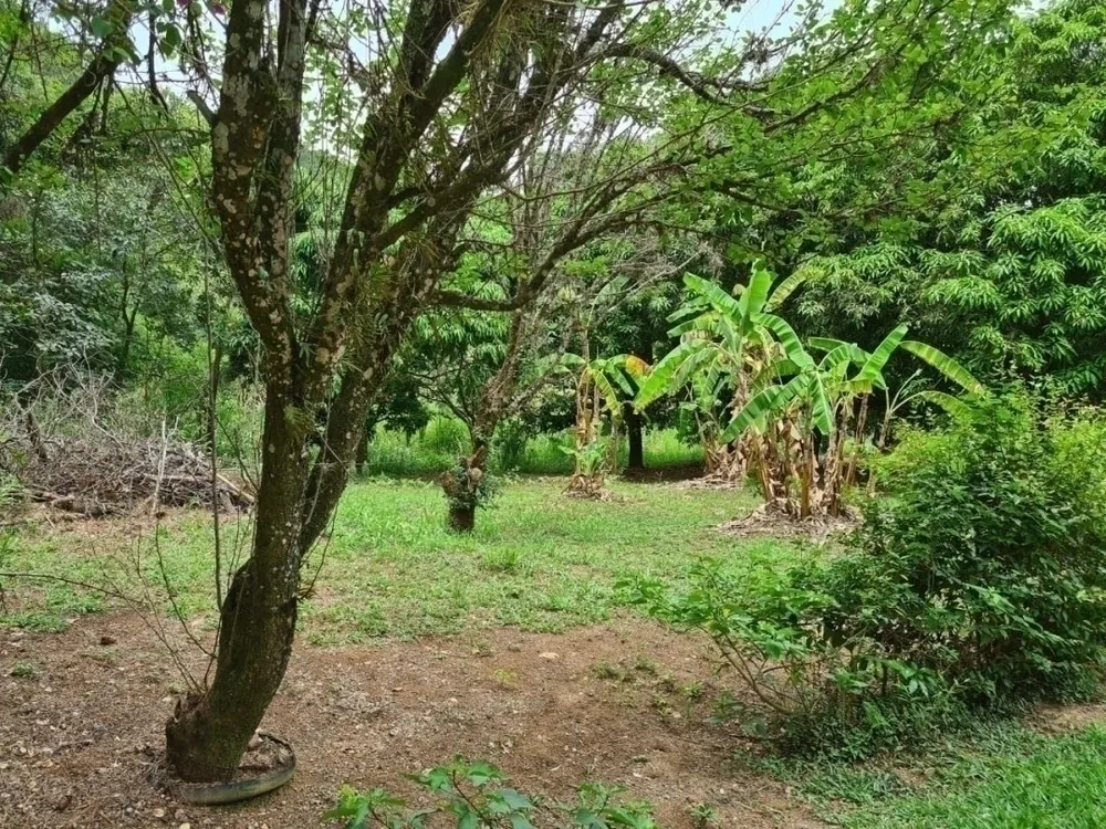 Sítio, 4 quartos, 5 hectares - Foto 14