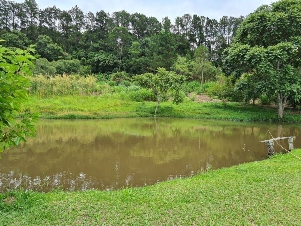 Sítio à venda com 4 quartos, 48400m² - Foto 3
