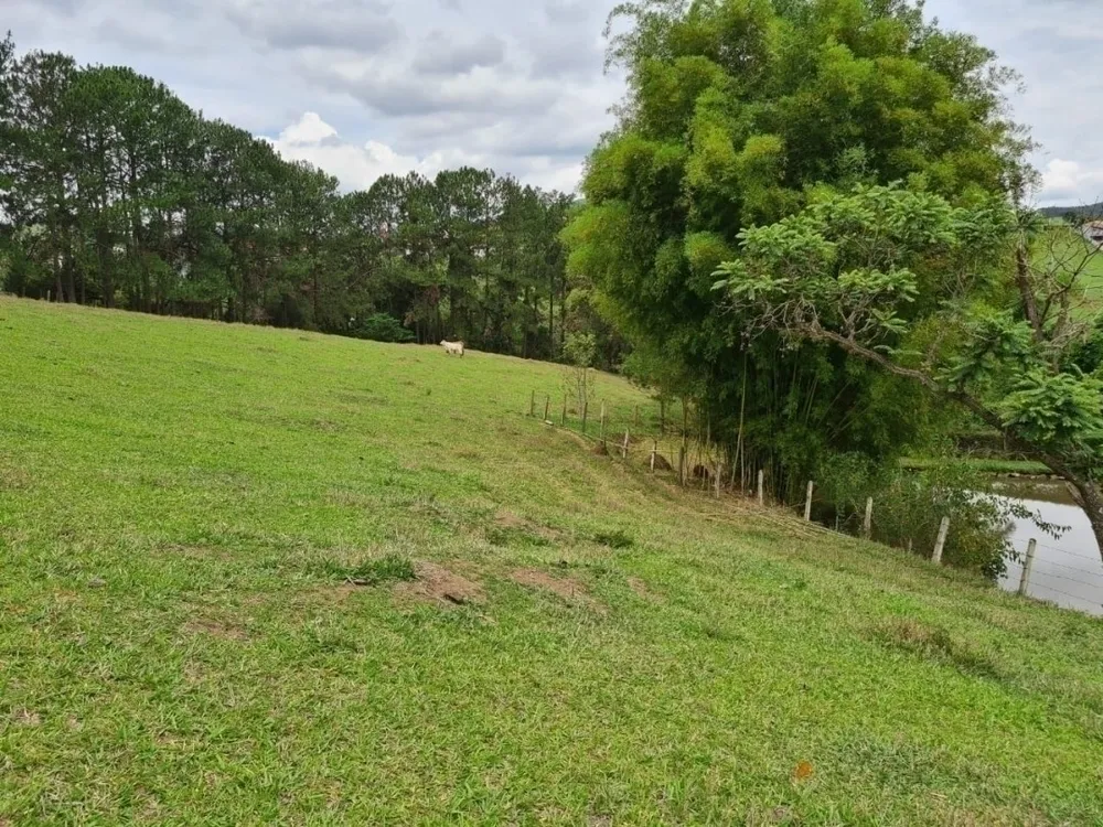 Sítio, 4 quartos, 5 hectares - Foto 6
