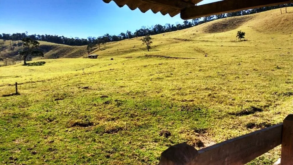 Fazenda, 242 hectares - Foto 8