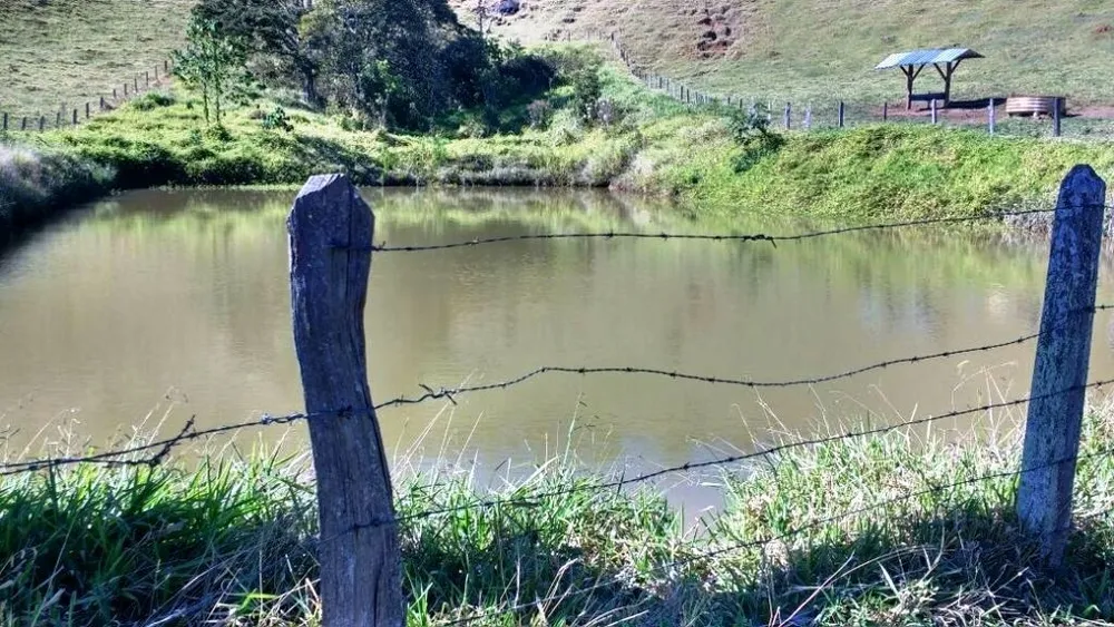 Fazenda, 242 hectares - Foto 3