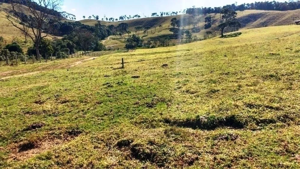 Fazenda, 242 hectares - Foto 9