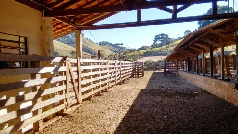 Fazenda, 242 hectares - Foto 11