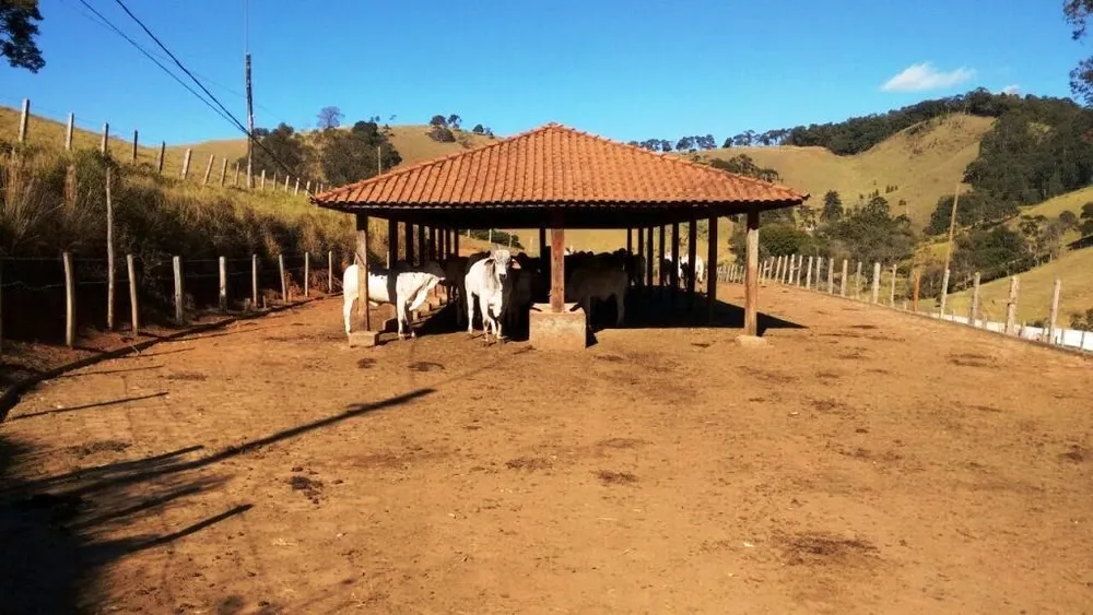 Fazenda, 242 hectares - Foto 14