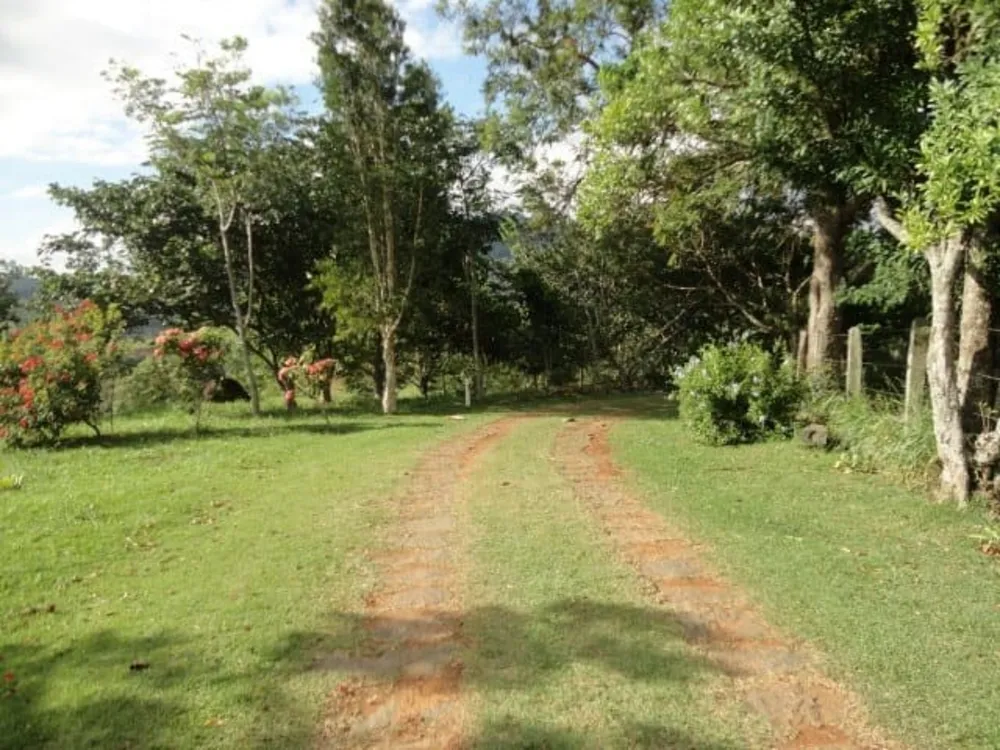 Sítio, 5 quartos, 3 hectares - Foto 11