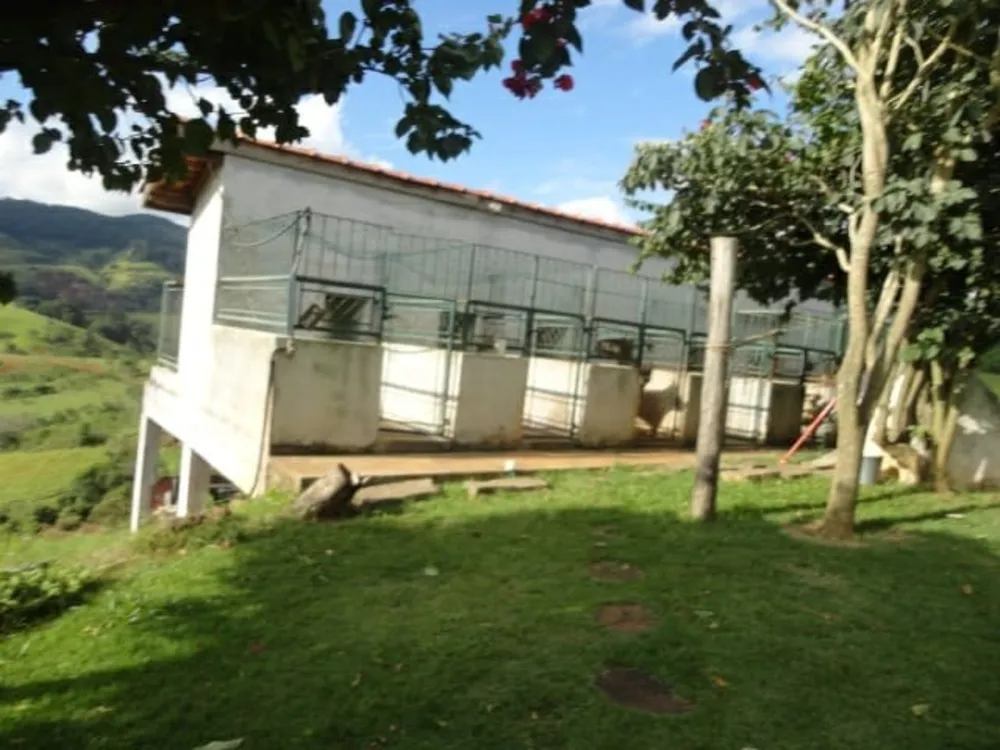 Sítio, 5 quartos, 3 hectares - Foto 8