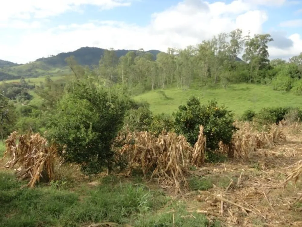 Sítio, 5 quartos, 3 hectares - Foto 17