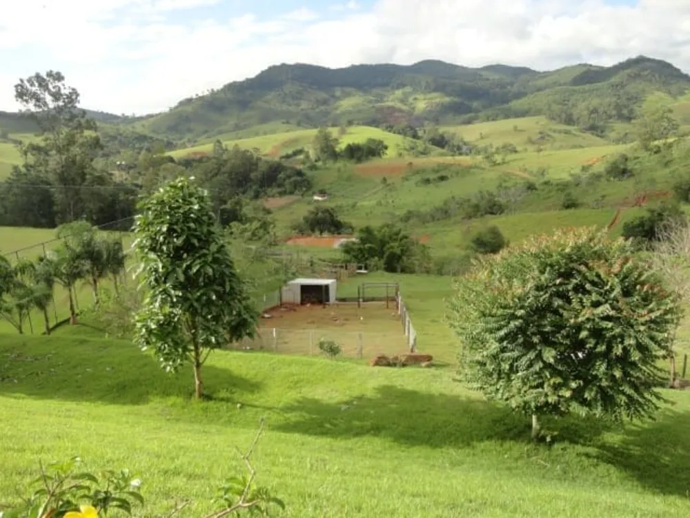 Sítio, 5 quartos, 3 hectares - Foto 14