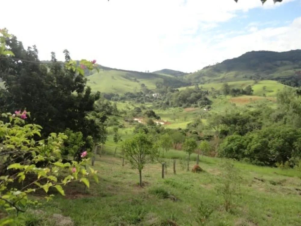 Sítio, 5 quartos, 3 hectares - Foto 19