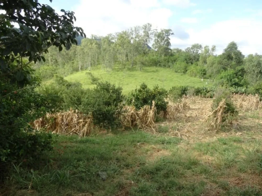 Sítio, 5 quartos, 3 hectares - Foto 15
