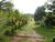 Sítio, 5 quartos, 3 hectares - Foto 3