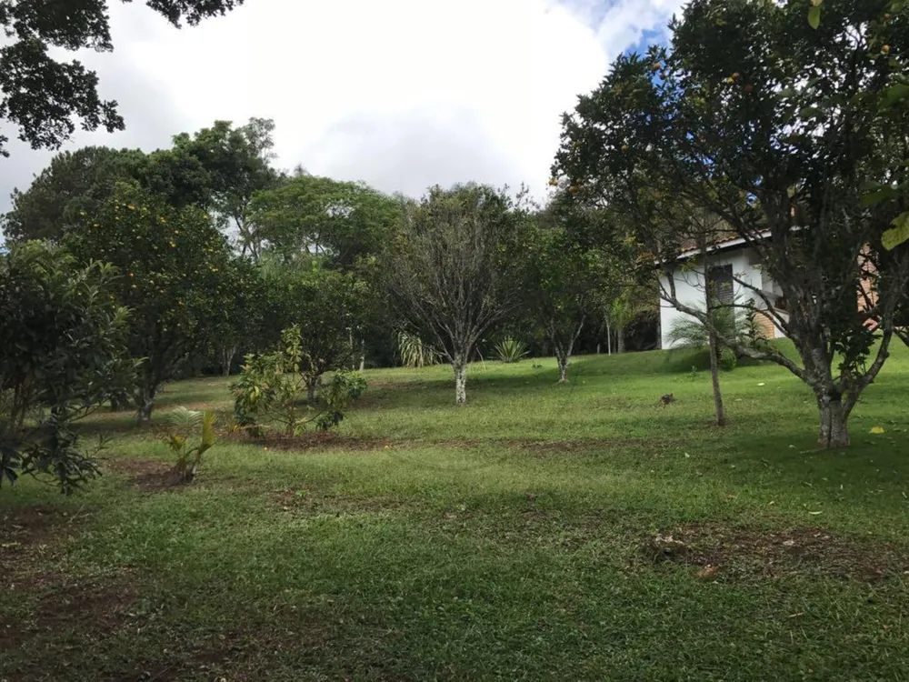 Terreno - Foto 5