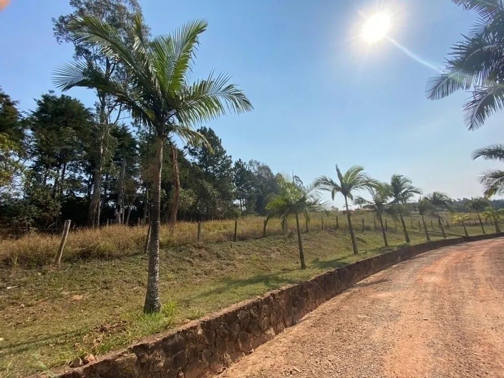 Terreno, 2 hectares - Foto 1