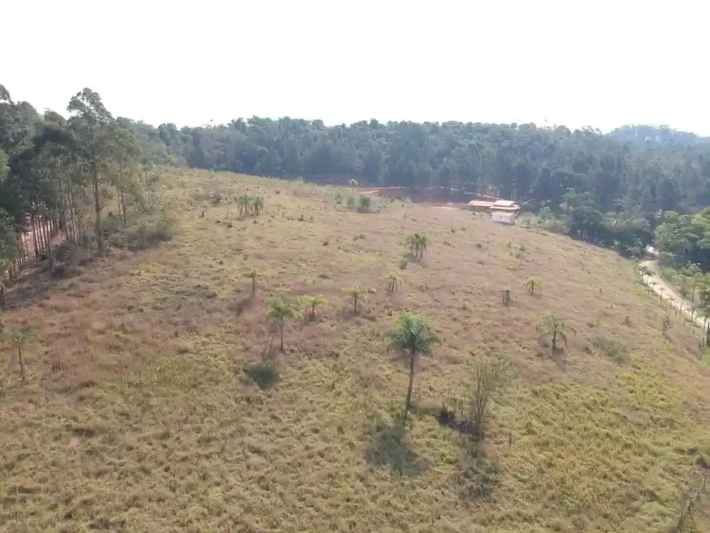 Terreno, 2 hectares - Foto 10