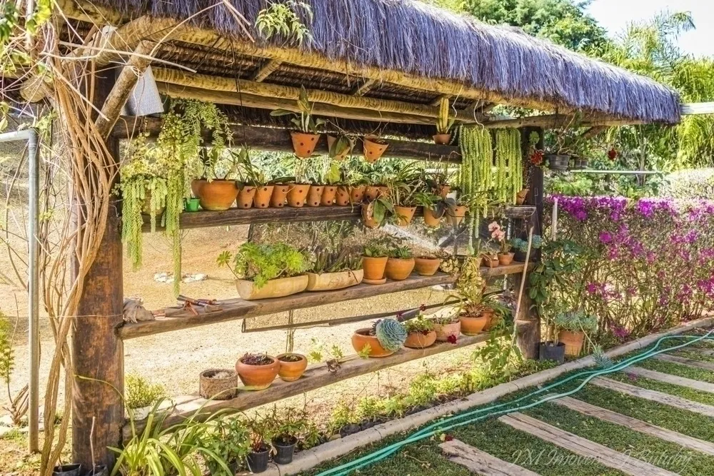 Chácara, 5 quartos, 5000 m² - Foto 16