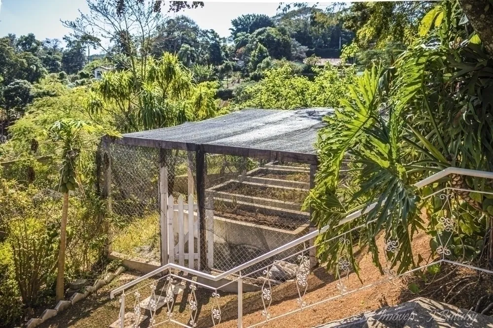 Chácara, 5 quartos, 5000 m² - Foto 6